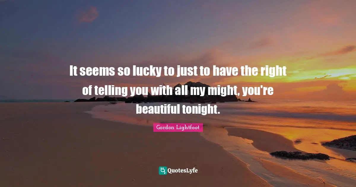 It seems so lucky to just to have the right of telling you with all my might, you're beautiful tonight.