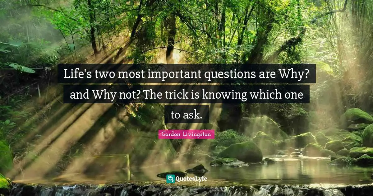 Life's two most important questions are Why? and Why not? The trick is knowing which one to ask.