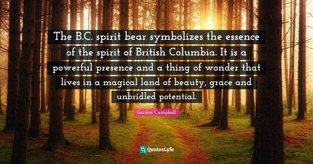 The B.C. spirit bear symbolizes the essence of the spirit of British Columbia. It is a powerful presence and a thing of wonder that lives in a magical land of beauty, grace and unbridled potential.
