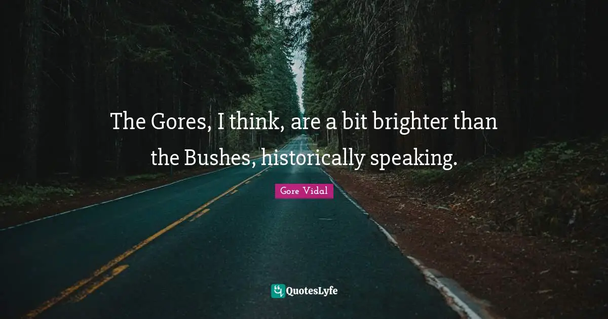 The Gores, I think, are a bit brighter than the Bushes, historically speaking.