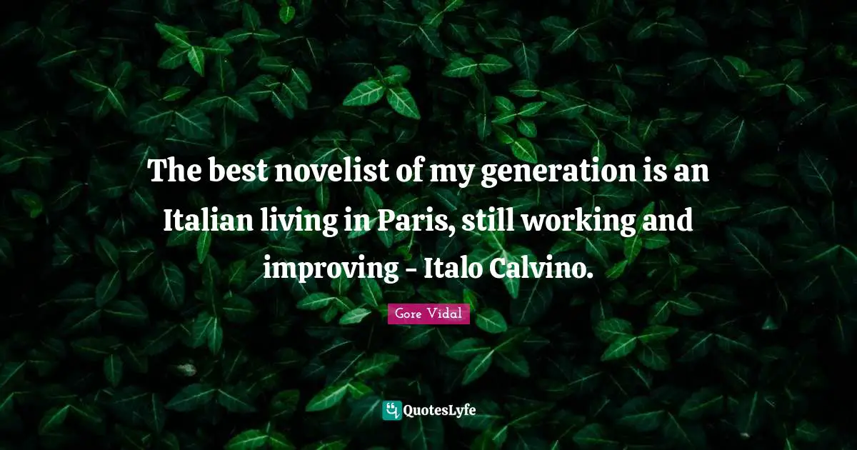 The best novelist of my generation is an Italian living in Paris, still working and improving - Italo Calvino.