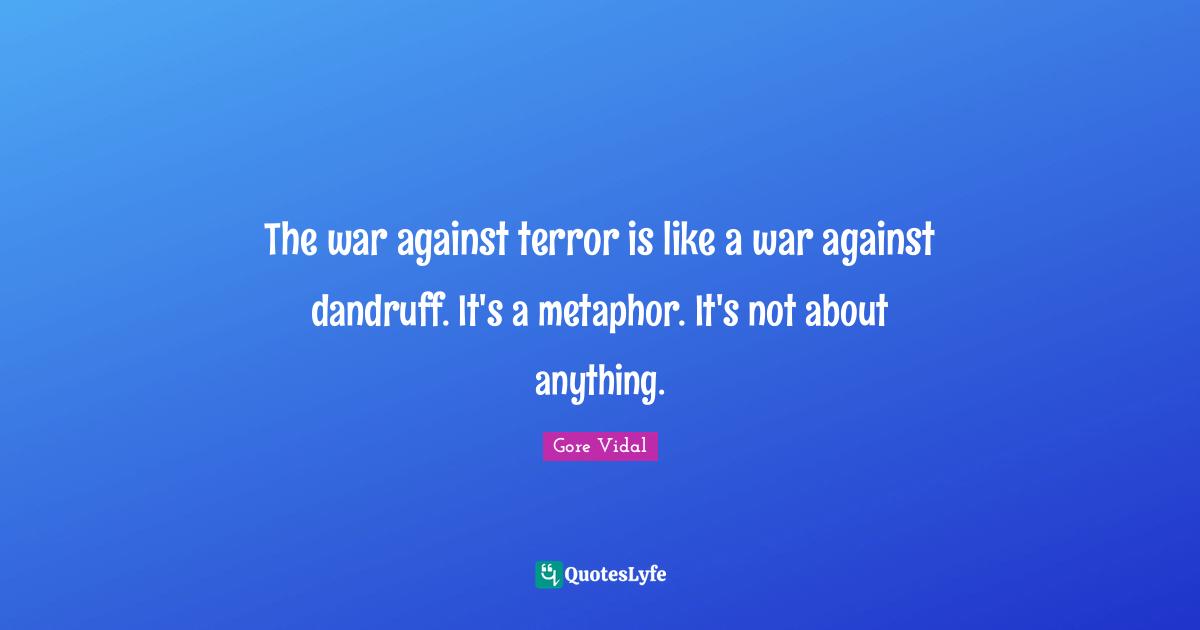 The war against terror is like a war against dandruff. It's a metaphor. It's not about anything.