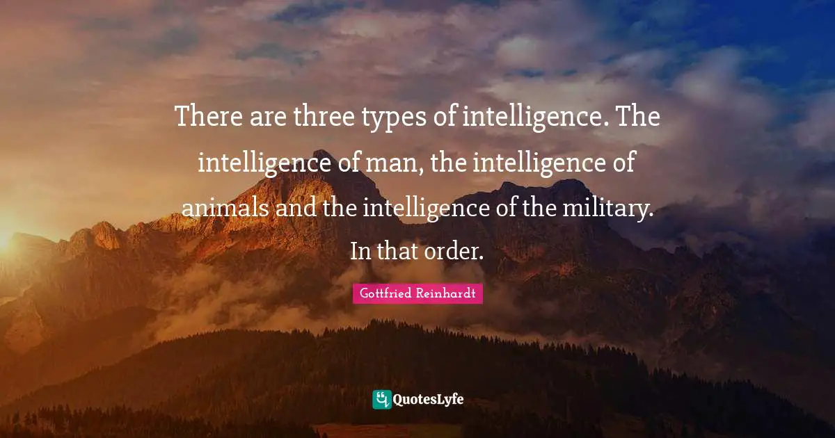 There are three types of intelligence. The intelligence of man, the intelligence of animals and the intelligence of the military. In that order.