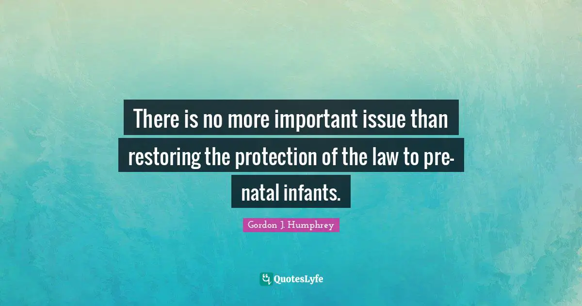 Important Issues Quotes: "There is no more important issue than restoring the protection of the law to pre-natal infants."