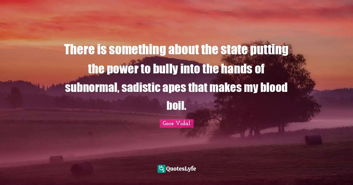 There is something about the state putting the power to bully into the hands of subnormal, sadistic apes that makes my blood boil.