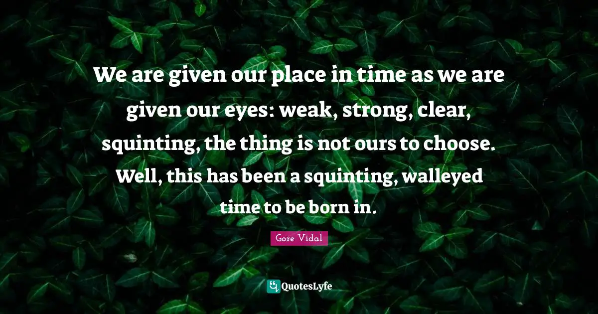 We are given our place in time as we are given our eyes: weak, strong, clear, squinting, the thing is not ours to choose. Well, this has been a squinting, walleyed time to be born in.