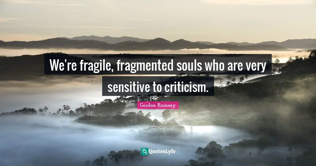 We're fragile, fragmented souls who are very sensitive to criticism.