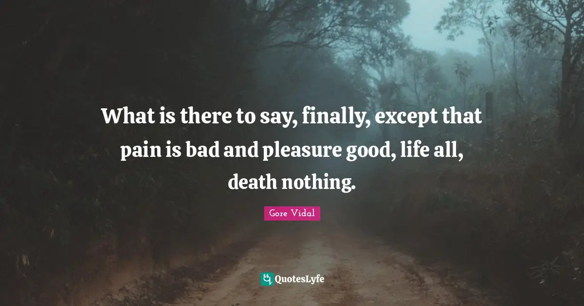 What is there to say, finally, except that pain is bad and pleasure good, life all, death nothing.