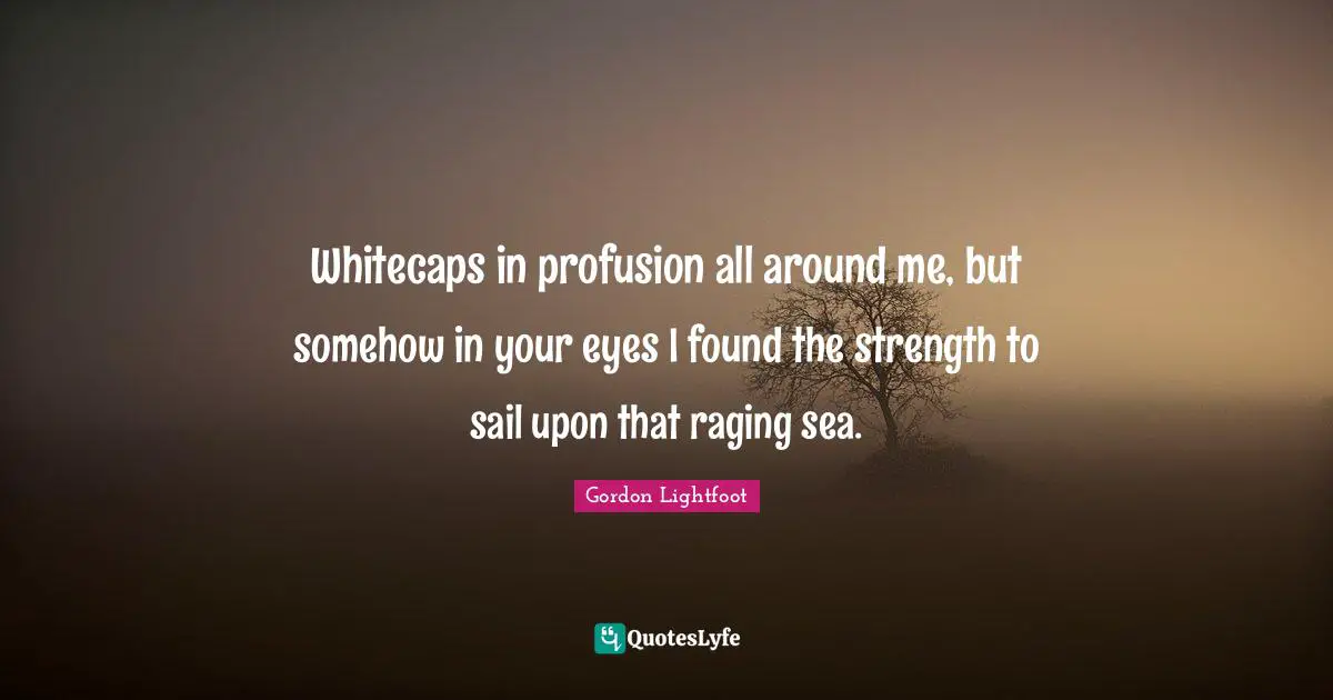 Whitecaps in profusion all around me, but somehow in your eyes I found the strength to sail upon that raging sea.