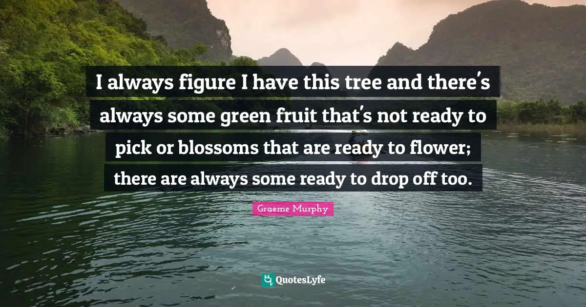I always figure I have this tree and there's always some green fruit that's not ready to pick or blossoms that are ready to flower; there are always some ready to drop off too.