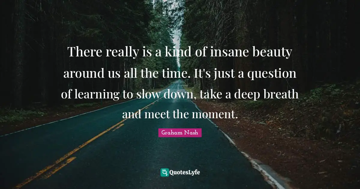 Graham Nash Quotes: "There really is a kind of insane beauty around us all the time. It's just a question of learning to slow down, take a deep breath and meet the moment."