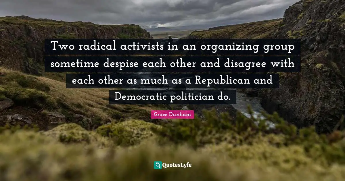 Two radical activists in an organizing group sometime despise each other and disagree with each other as much as a Republican and Democratic politician do.