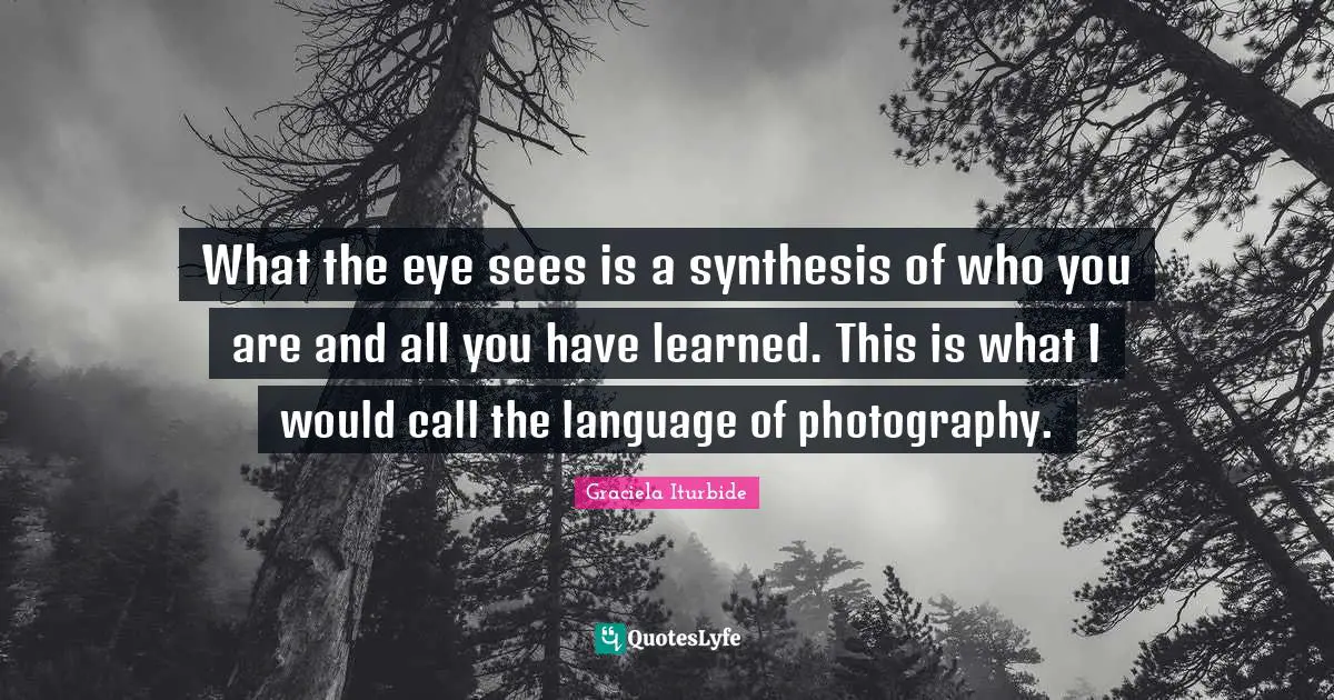 What the eye sees is a synthesis of who you are and all you have learned. This is what I would call the language of photography.
