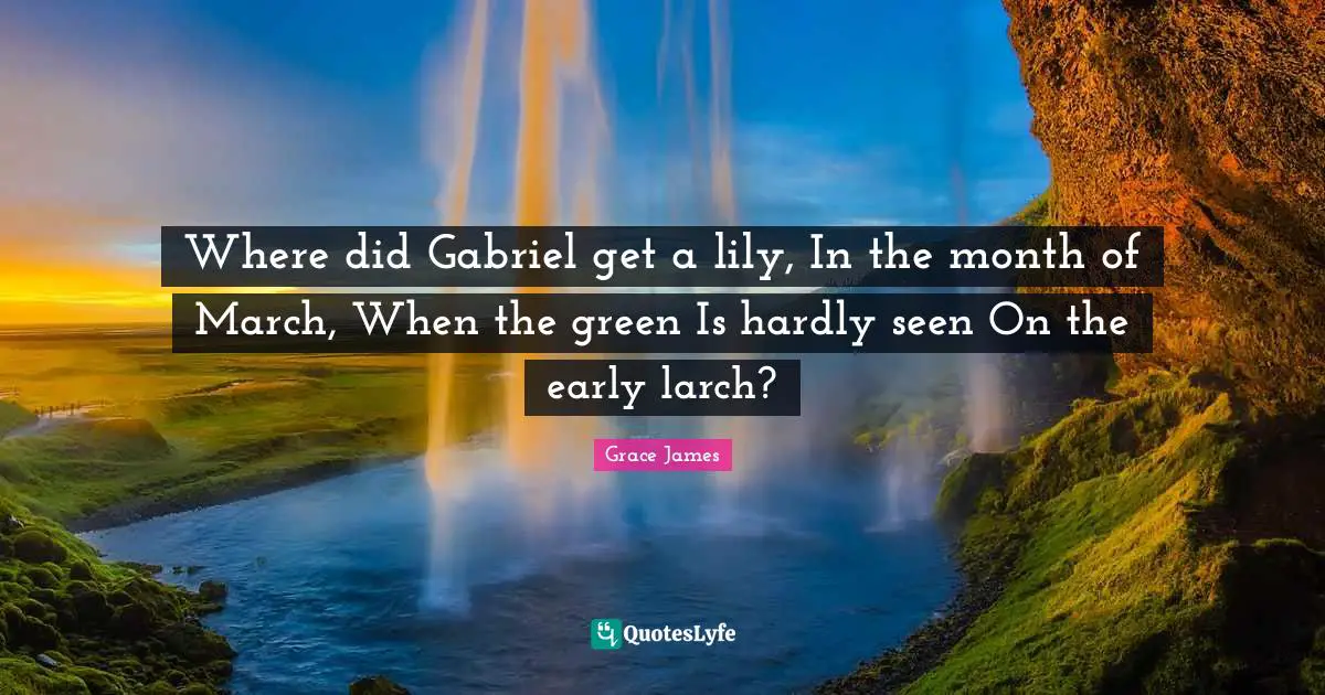 Where did Gabriel get a lily, In the month of March, When the green Is hardly seen On the early larch?