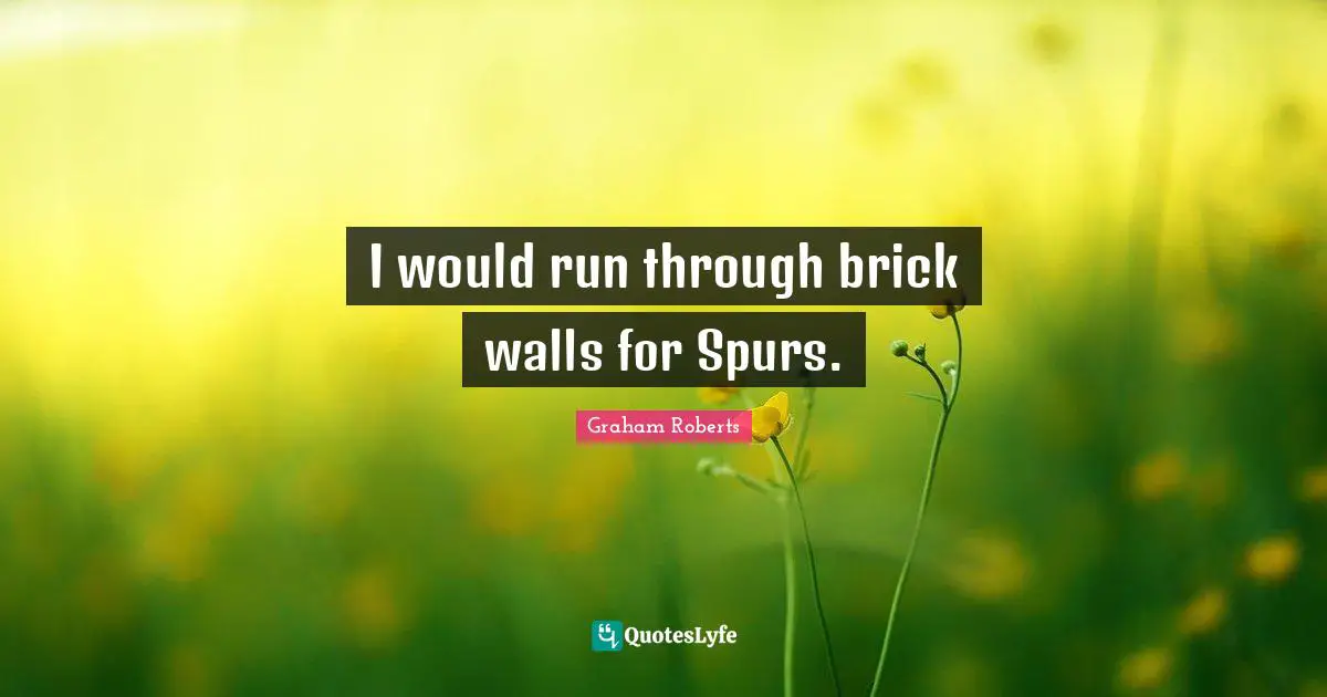 I would run through brick walls for Spurs.