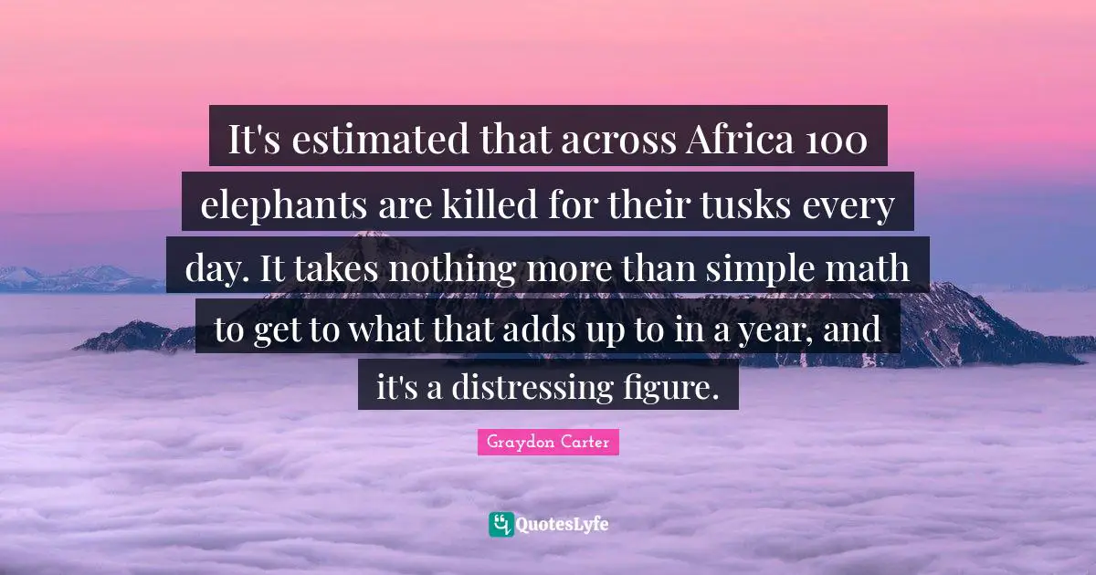 It's estimated that across Africa 100 elephants are killed for their tusks every day. It takes nothing more than simple math to get to what that adds up to in a year, and it's a distressing figure.