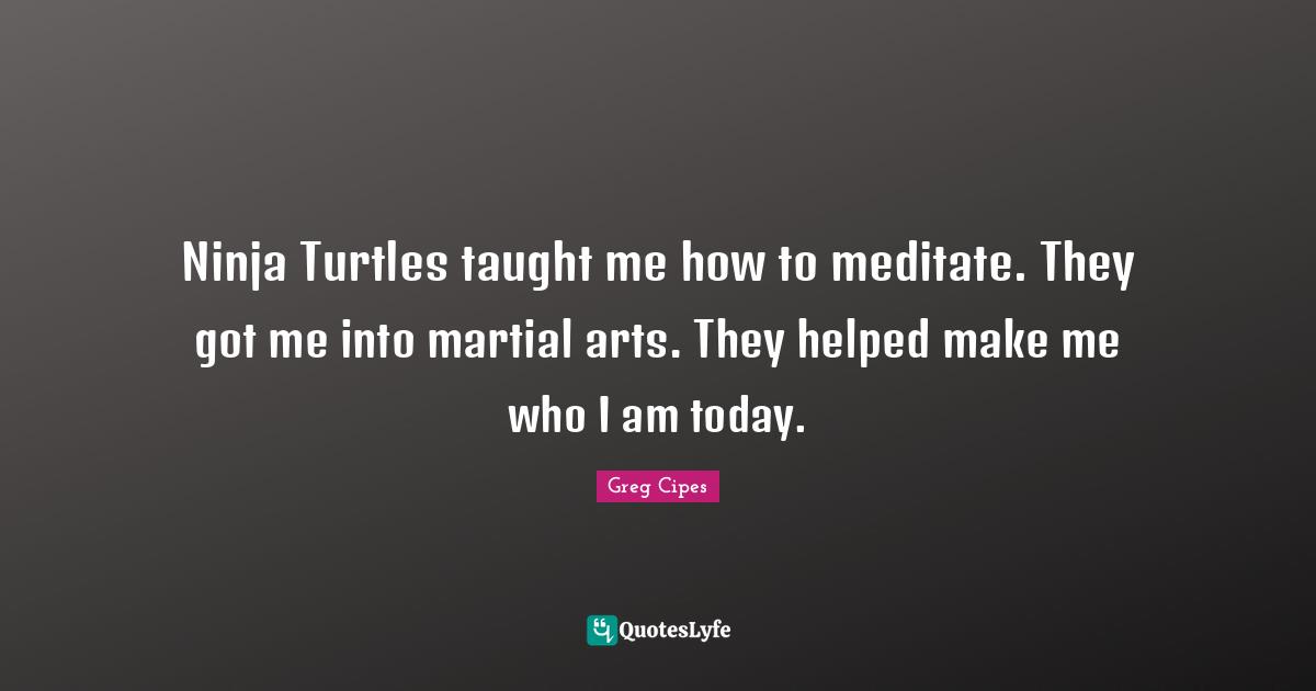 Ninja Turtles taught me how to meditate. They got me into martial arts. They helped make me who I am today.