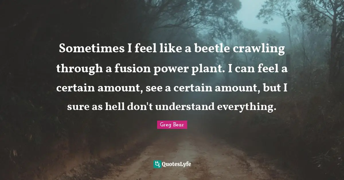 Sometimes I feel like a beetle crawling through a fusion power plant. I can feel a certain amount, see a certain amount, but I sure as hell don't understand everything.