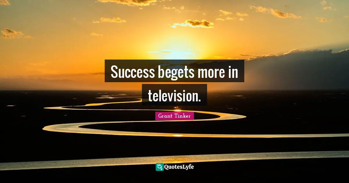 Success begets more in television.