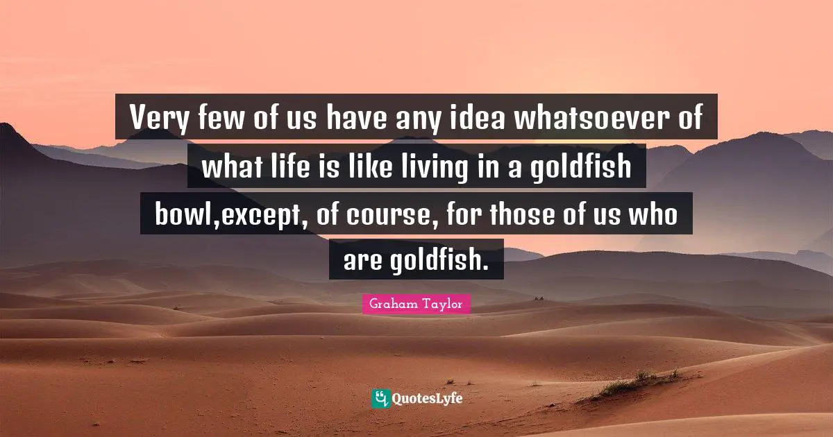 Very few of us have any idea whatsoever of what life is like living in a goldfish bowl,except, of course, for those of us who are goldfish.