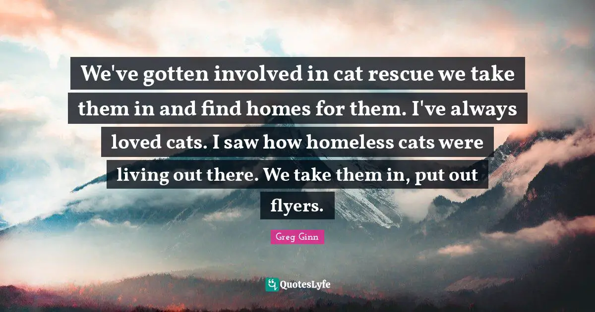 We've gotten involved in cat rescue we take them in and find homes for them. I've always loved cats. I saw how homeless cats were living out there. We take them in, put out flyers.