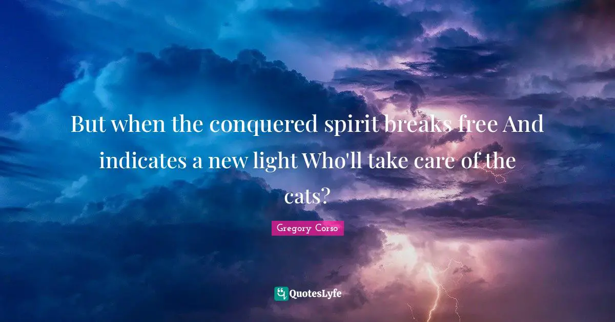 But when the conquered spirit breaks free And indicates a new light Who'll take care of the cats?