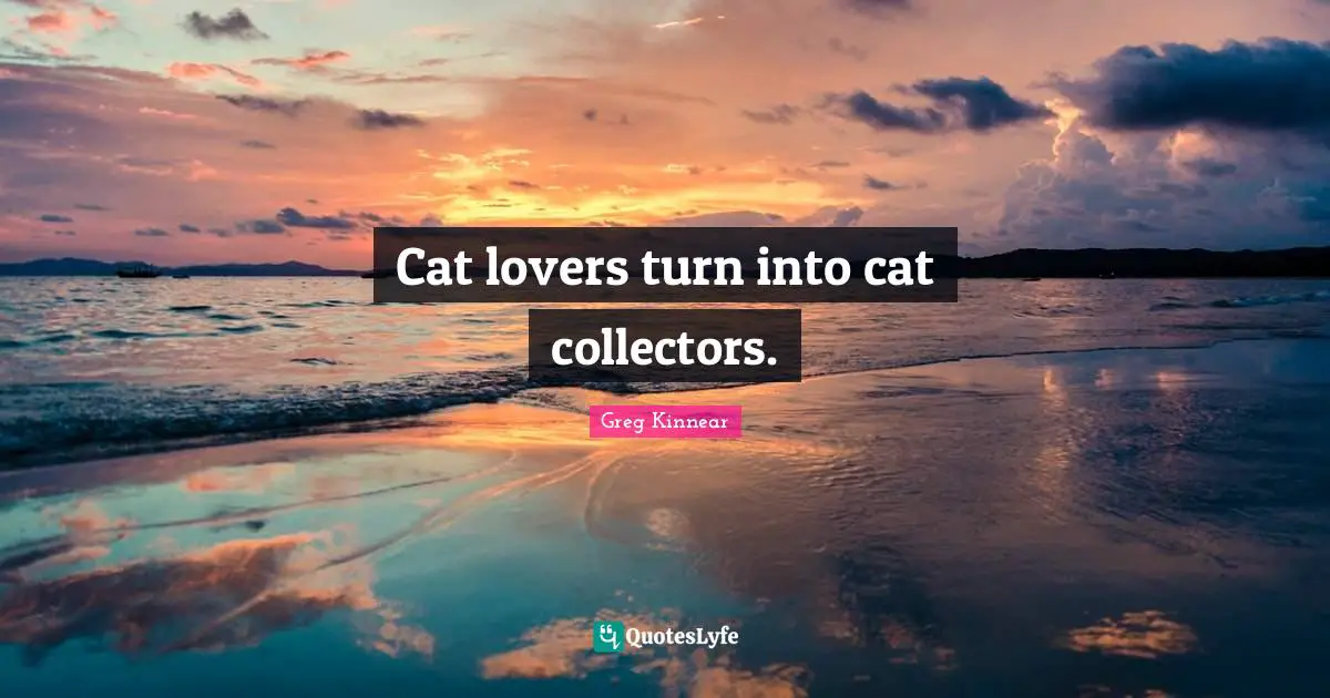 Cat lovers turn into cat collectors.