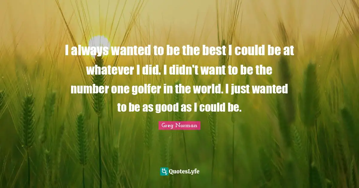 I always wanted to be the best I could be at whatever I did. I didn't want to be the number one golfer in the world. I just wanted to be as good as I could be.