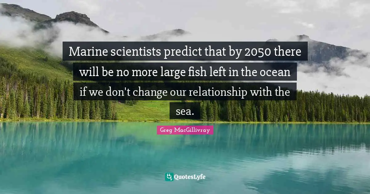 Marine scientists predict that by 2050 there will be no more large fish left in the ocean if we don't change our relationship with the sea.