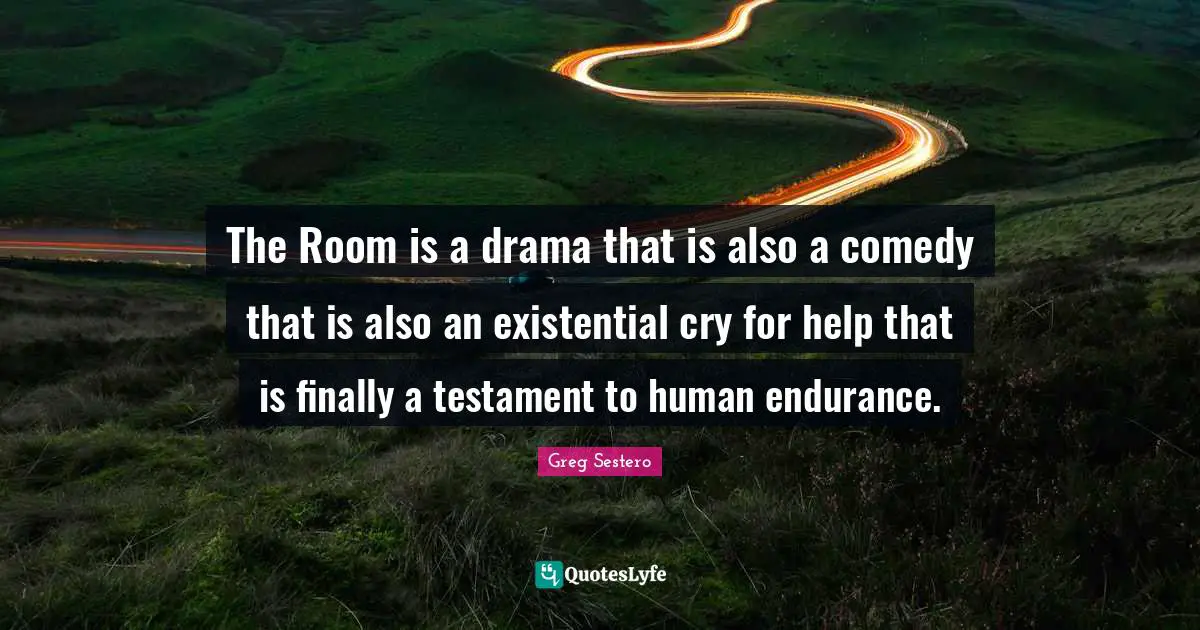 The Room is a drama that is also a comedy that is also an existential cry for help that is finally a testament to human endurance.