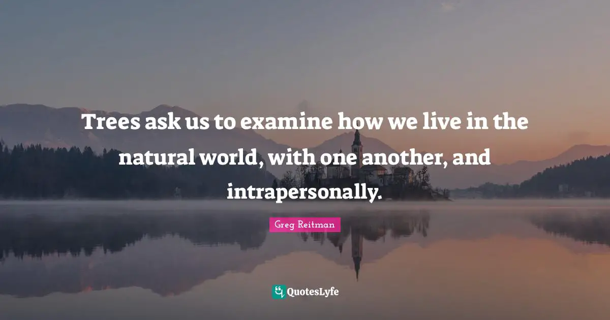 Trees ask us to examine how we live in the natural world, with one another, and intrapersonally.