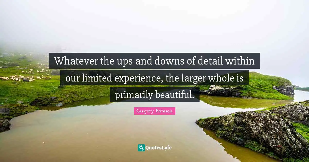 Whatever the ups and downs of detail within our limited experience, the larger whole is primarily beautiful.