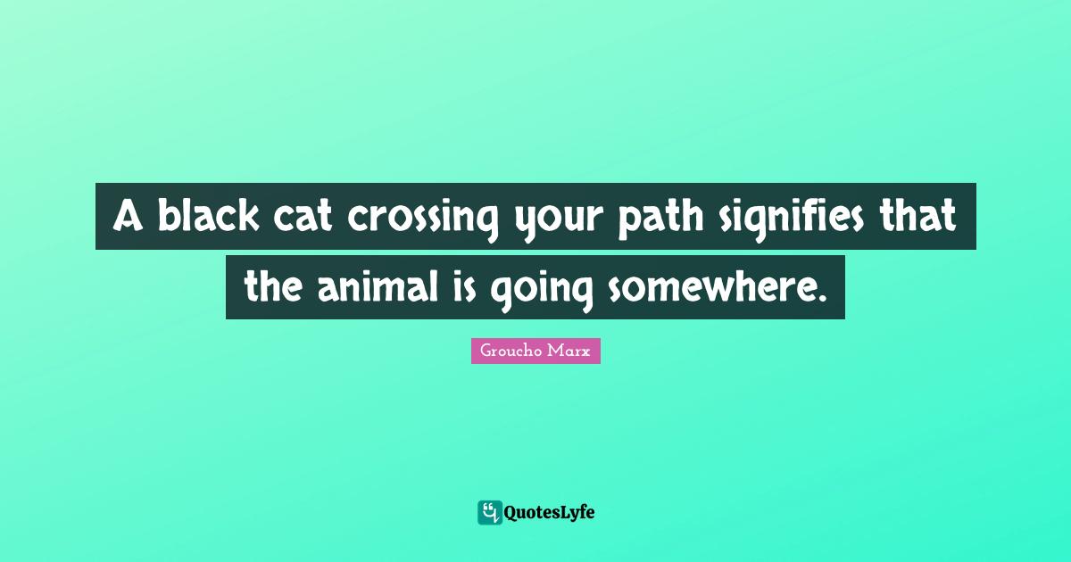 If a black cat crosses your path, it signifies that the animal is goin
