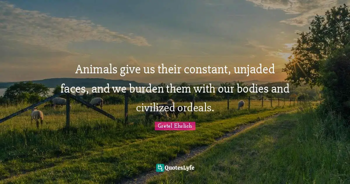 Gretel Ehrlich Quotes: "Animals give us their constant, unjaded faces, and we burden them with our bodies and civilized ordeals."