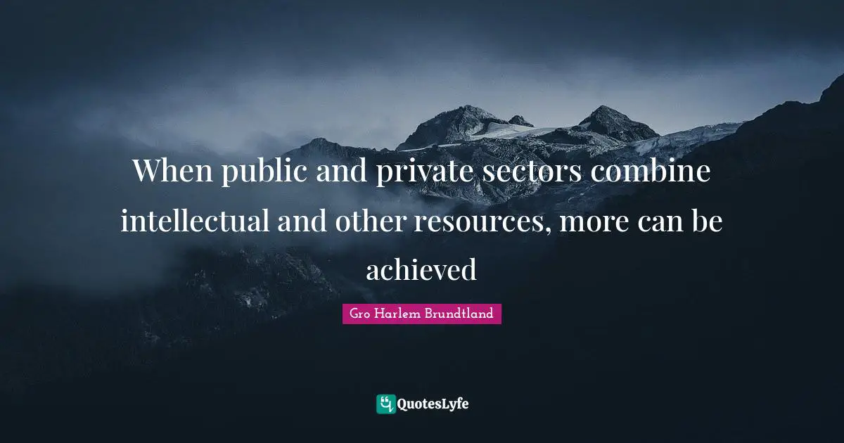When public and private sectors combine intellectual and other resources, more can be achieved