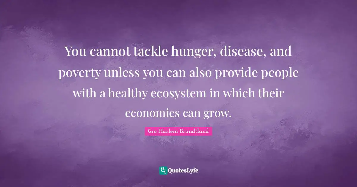 You cannot tackle hunger, disease, and poverty unless you can also provide people with a healthy ecosystem in which their economies can grow.