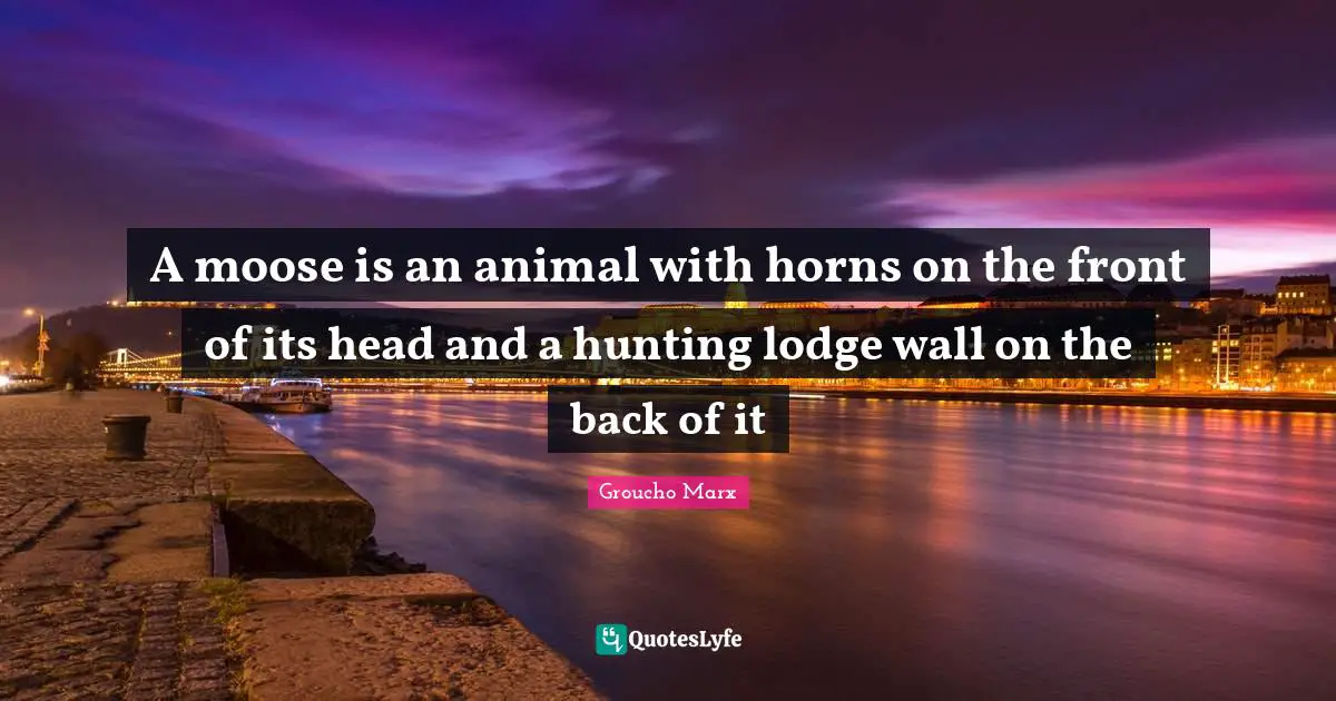 A moose is an animal with horns on the front of its head and a hunting lodge wall on the back of it