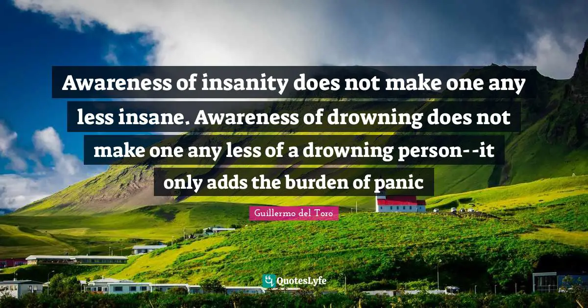 Awareness of insanity does not make one any less insane. Awareness of drowning does not make one any less of a drowning person--it only adds the burden of panic