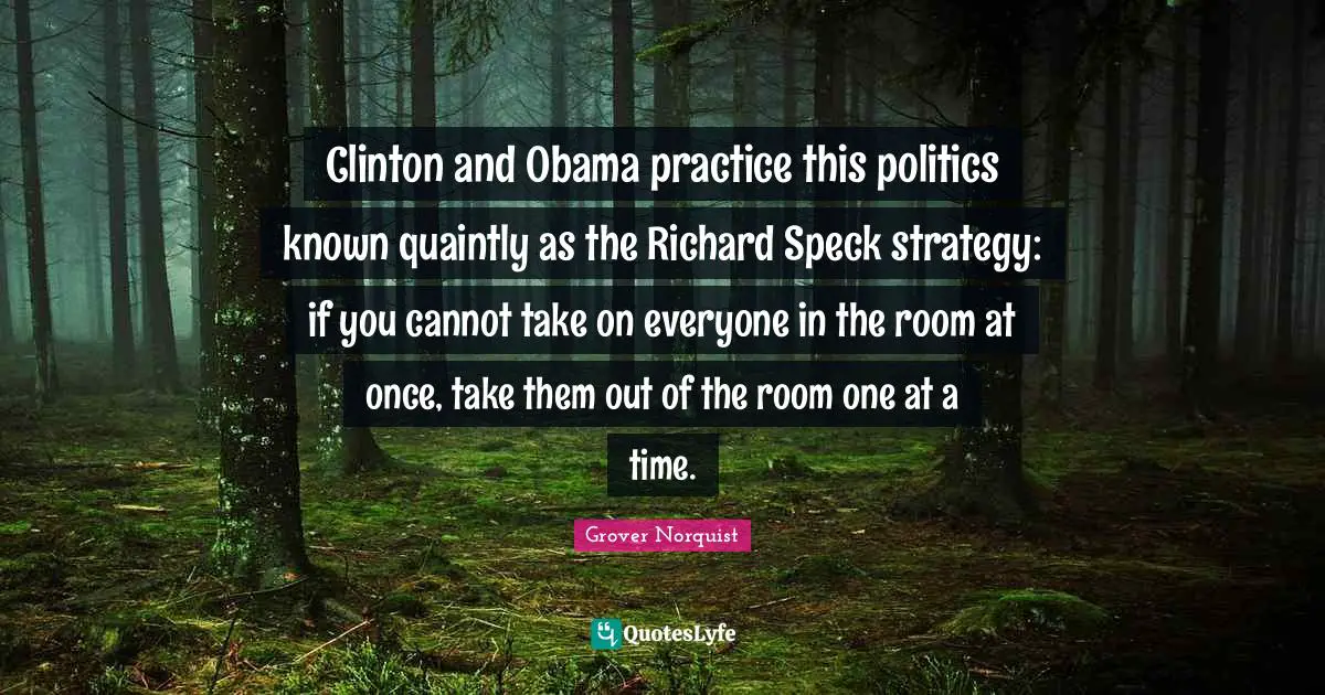 Clinton and Obama practice this politics known quaintly as the Richard Speck strategy: if you cannot take on everyone in the room at once, take them out of the room one at a time.