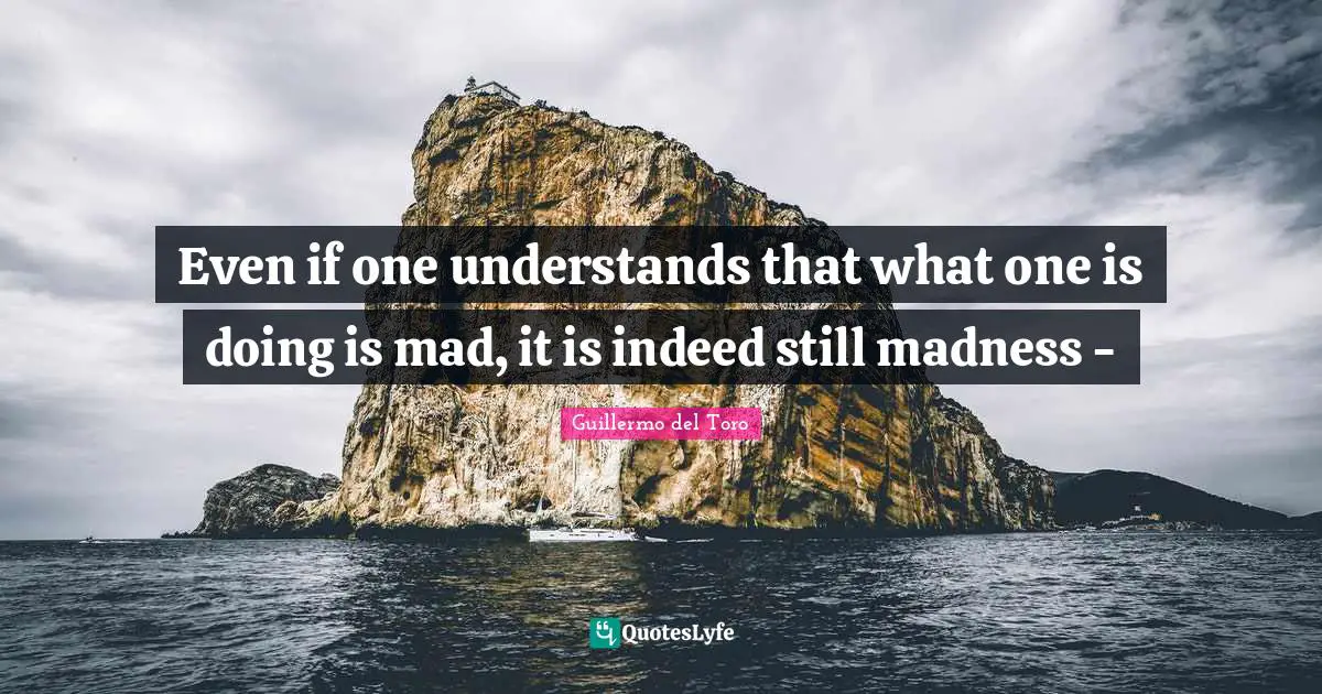 Even if one understands that what one is doing is mad, it is indeed still madness -