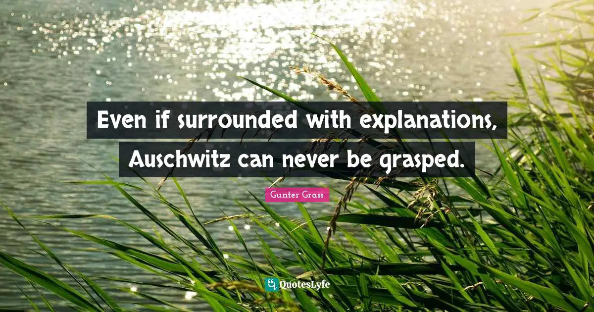 Explanation Quotes: "Even if surrounded with explanations, Auschwitz can never be grasped."