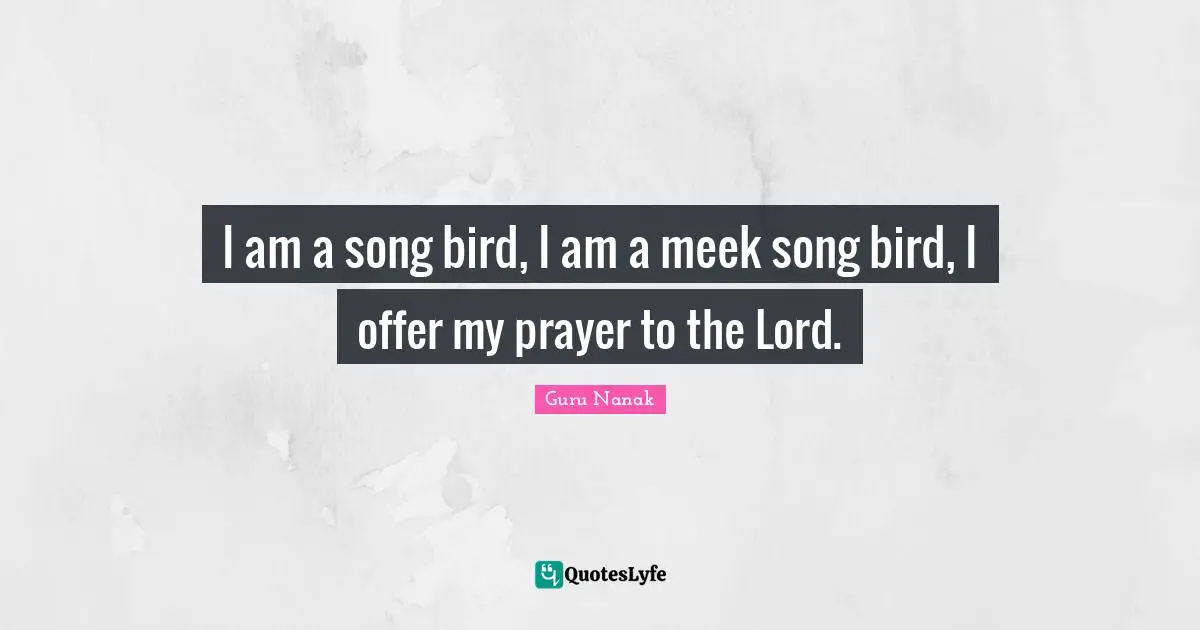 Meek Quotes: "I am a song bird, I am a meek song bird, I offer my prayer to the Lord."