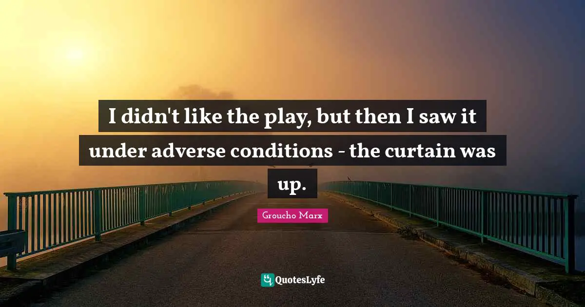 I didn't like the play, but then I saw it under adverse conditions - the curtain was up.