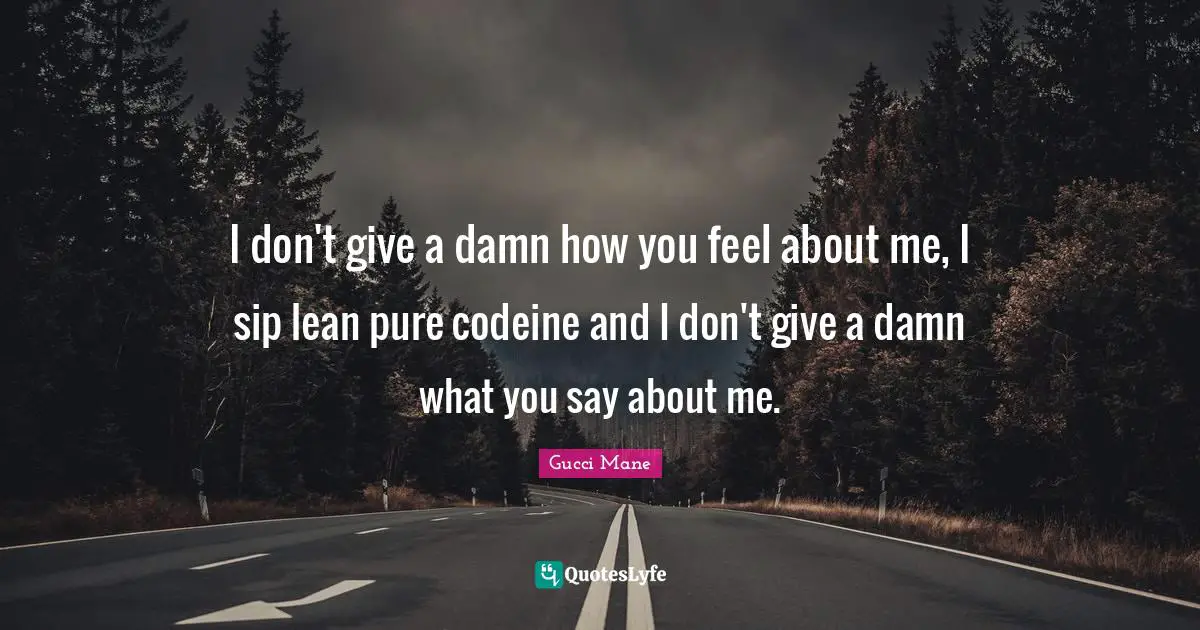 Gucci Mane Quotes: I don't give a damn how you feel about me, I sip lean pure codeine and I don't give a damn what you say about me.