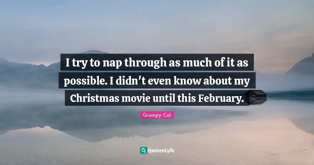 I try to nap through as much of it as possible. I didn't even know about my Christmas movie until this February.