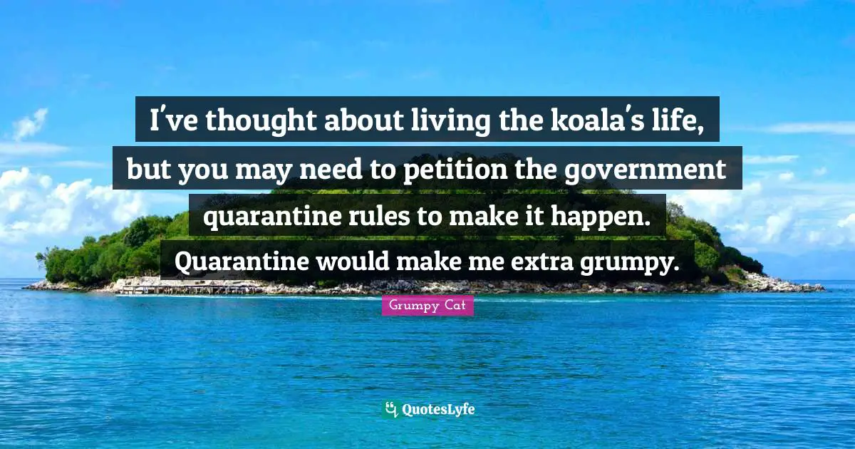 Make It Happen Quotes: "I've thought about living the koala's life, but you may need to petition the government quarantine rules to make it happen. Quarantine would make me extra grumpy."