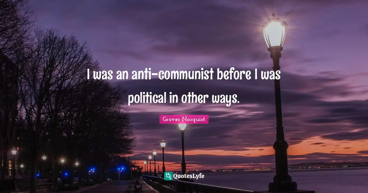 I was an anti-communist before I was political in other ways.