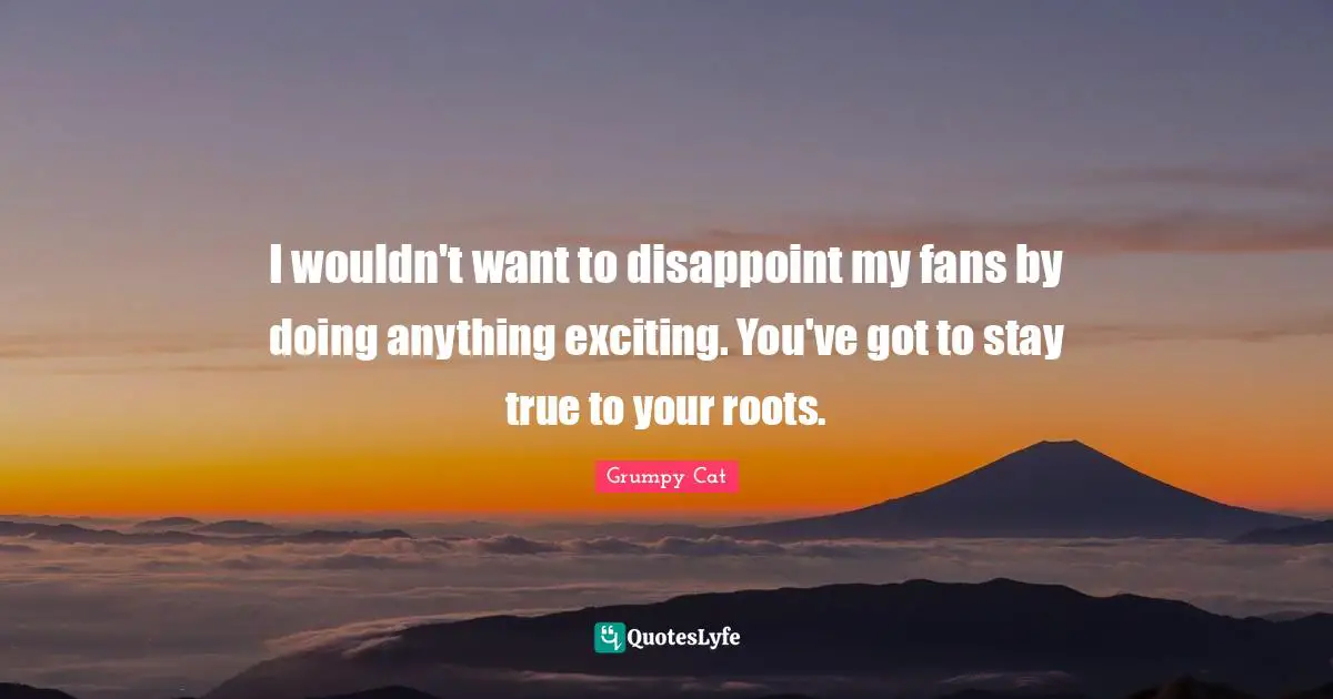 I wouldn't want to disappoint my fans by doing anything exciting. You've got to stay true to your roots.