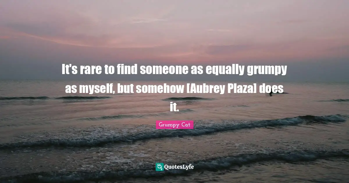 It's rare to find someone as equally grumpy as myself, but somehow [Aubrey Plaza] does it.