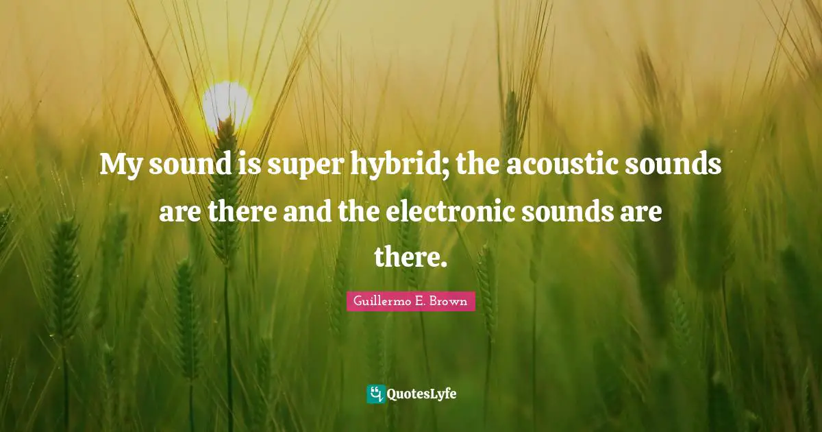 My sound is super hybrid; the acoustic sounds are there and the electronic sounds are there.